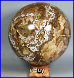 4.93lb Natural Petrified Wood Sphere Fossil Agate Quartz Crystal Ball Madagascar