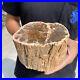 4_9lb_Rare_Natural_petrified_wood_rough_Wood_fossil_mineral_specimen_healing_01_vdea