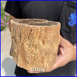 4.9lb Rare Natural petrified wood rough Wood fossil mineral specimen healing 4.9lb Rare Natural petrified wood rough Wood fossil mineral specimen healing