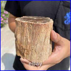 4.9lb Rare Natural petrified wood rough Wood fossil mineral specimen healing 4.9lb Rare Natural petrified wood rough Wood fossil mineral specimen healing