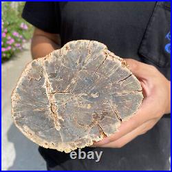 4.9lb Rare Natural petrified wood rough Wood fossil mineral specimen healing 4.9lb Rare Natural petrified wood rough Wood fossil mineral specimen healing