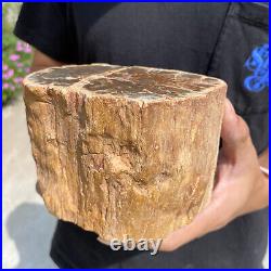 4.9lb Rare Natural petrified wood rough Wood fossil mineral specimen healing 4.9lb Rare Natural petrified wood rough Wood fossil mineral specimen healing