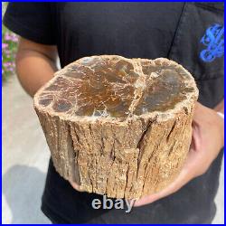4.9lb Rare Natural petrified wood rough Wood fossil mineral specimen healing 4.9lb Rare Natural petrified wood rough Wood fossil mineral specimen healing