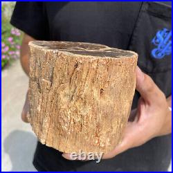 4.9lb Rare Natural petrified wood rough Wood fossil mineral specimen healing 4.9lb Rare Natural petrified wood rough Wood fossil mineral specimen healing