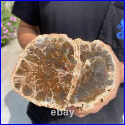 4.9lb Rare Natural petrified wood rough Wood fossil mineral specimen healing 4.9lb Rare Natural petrified wood rough Wood fossil mineral specimen healing