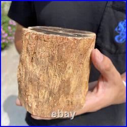 4.9lb Rare Natural petrified wood rough Wood fossil mineral specimen healing 4.9lb Rare Natural petrified wood rough Wood fossil mineral specimen healing