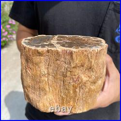 4.9lb Rare Natural petrified wood rough Wood fossil mineral specimen healing 4.9lb Rare Natural petrified wood rough Wood fossil mineral specimen healing