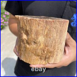 4.9lb Rare Natural petrified wood rough Wood fossil mineral specimen healing 4.9lb Rare Natural petrified wood rough Wood fossil mineral specimen healing