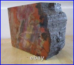 4 Lb. 12 oz Arizona Rainbow Petrified Wood Display Piece With Bark