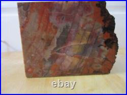 4 Lb. 12 oz Arizona Rainbow Petrified Wood Display Piece With Bark