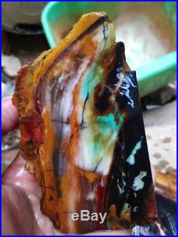 4 Ons Blue Opalized Petrified Wood Multicolour Rare
