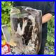 50_3lb_Rare_Natural_petrified_wood_rough_Wood_fossil_mineral_specimen_healing_01_na
