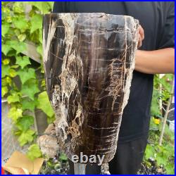 50.3lb Rare Natural petrified wood rough Wood fossil mineral specimen healing 50.3lb Rare Natural petrified wood rough Wood fossil mineral specimen healing