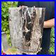 50lb_Rare_Natural_petrified_wood_rough_Wood_fossil_mineral_specimen_healing_01_hjb