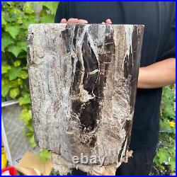 50lb Rare Natural petrified wood rough Wood fossil mineral specimen healing 50lb Rare Natural petrified wood rough Wood fossil mineral specimen healing