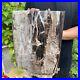 50lb_Rare_Natural_petrified_wood_rough_Wood_fossil_mineral_specimen_healing_01_rq