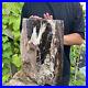 50lb_Rare_Natural_petrified_wood_rough_Wood_fossil_mineral_specimen_healing_01_vqui