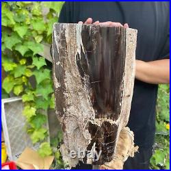 50lb Rare Natural petrified wood rough Wood fossil mineral specimen healing 50lb Rare Natural petrified wood rough Wood fossil mineral specimen healing