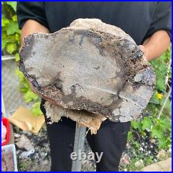 50lb Rare Natural petrified wood rough Wood fossil mineral specimen healing