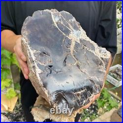 50lb Rare Natural petrified wood rough Wood fossil mineral specimen healing