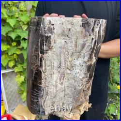 50lb Rare Natural petrified wood rough Wood fossil mineral specimen healing 50lb Rare Natural petrified wood rough Wood fossil mineral specimen healing