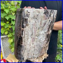 50lb Rare Natural petrified wood rough Wood fossil mineral specimen healing