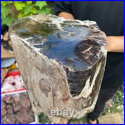 50lb Rare Natural petrified wood rough Wood fossil mineral specimen healing