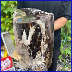 50lb Rare Natural petrified wood rough Wood fossil mineral specimen healing 50lb Rare Natural petrified wood rough Wood fossil mineral specimen healing
