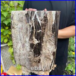 50lb Rare Natural petrified wood rough Wood fossil mineral specimen healing