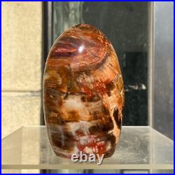 510g Natural Fossil Petrified Wood Polished Freeform Crystal Mineral Healing