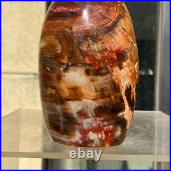 510g Natural Fossil Petrified Wood Polished Freeform Crystal Mineral Healing