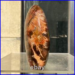 510g Natural Fossil Petrified Wood Polished Freeform Crystal Mineral Healing