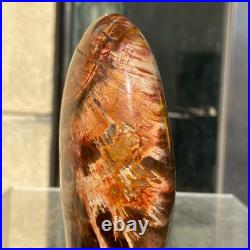 510g Natural Fossil Petrified Wood Polished Freeform Crystal Mineral Healing