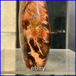 510g Natural Fossil Petrified Wood Polished Freeform Crystal Mineral Healing