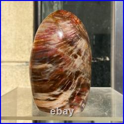 510g Natural Fossil Petrified Wood Polished Freeform Crystal Mineral Healing