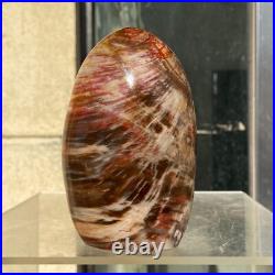 510g Natural Fossil Petrified Wood Polished Freeform Crystal Mineral Healing