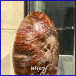 510g Natural Fossil Petrified Wood Polished Freeform Crystal Mineral Healing