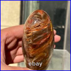 510g Natural Fossil Petrified Wood Polished Freeform Crystal Mineral Healing
