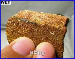53 gram possible opalized limb cast fossil on matrix Australia opal wood