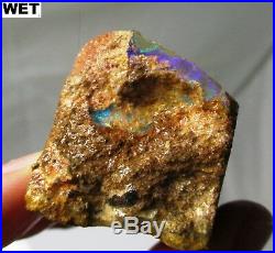 53 gram possible opalized limb cast fossil on matrix Australia opal wood