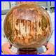 54_90lb_Large_Natural_Petrified_Wood_Fossil_Quartz_Crystal_Sphere_Ball_Healing_01_au