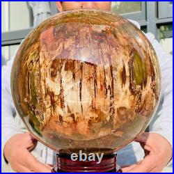 54.90lb Large Natural Petrified Wood Fossil Quartz Crystal Sphere Ball Healing 54.90lb Large Natural Petrified Wood Fossil Quartz Crystal Sphere Ball Healing