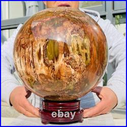 54.90lb Large Natural Petrified Wood Fossil Quartz Crystal Sphere Ball Healing 54.90lb Large Natural Petrified Wood Fossil Quartz Crystal Sphere Ball Healing