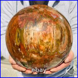 54.90lb Large Natural Petrified Wood Fossil Quartz Crystal Sphere Ball Healing 54.90lb Large Natural Petrified Wood Fossil Quartz Crystal Sphere Ball Healing