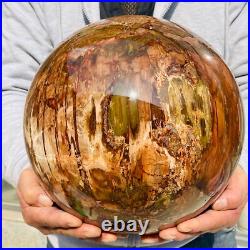 54.90lb Large Natural Petrified Wood Fossil Quartz Crystal Sphere Ball Healing 54.90lb Large Natural Petrified Wood Fossil Quartz Crystal Sphere Ball Healing