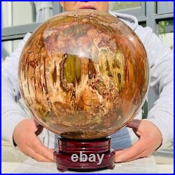 54.90lb Large Natural Petrified Wood Fossil Quartz Crystal Sphere Ball Healing 54.90lb Large Natural Petrified Wood Fossil Quartz Crystal Sphere Ball Healing