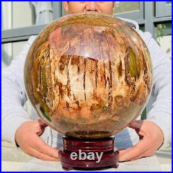 54.90lb Large Natural Petrified Wood Fossil Quartz Crystal Sphere Ball Healing 54.90lb Large Natural Petrified Wood Fossil Quartz Crystal Sphere Ball Healing