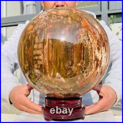 54.90lb Large Natural Petrified Wood Fossil Quartz Crystal Sphere Ball Healing 54.90lb Large Natural Petrified Wood Fossil Quartz Crystal Sphere Ball Healing