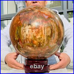 54.90lb Large Natural Petrified Wood Fossil Quartz Crystal Sphere Ball Healing 54.90lb Large Natural Petrified Wood Fossil Quartz Crystal Sphere Ball Healing