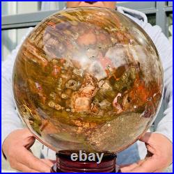 54.90lb Large Natural Petrified Wood Fossil Quartz Crystal Sphere Ball Healing 54.90lb Large Natural Petrified Wood Fossil Quartz Crystal Sphere Ball Healing